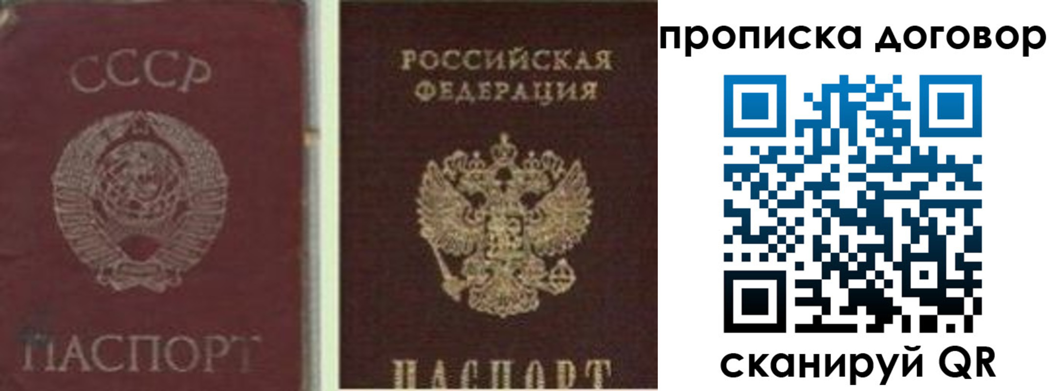 прописка гарантия в Раменском